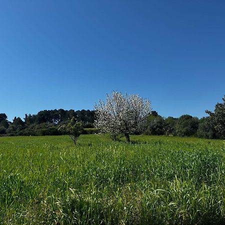 Trulli Del Sole Villa Martina Franca Eksteriør bilde