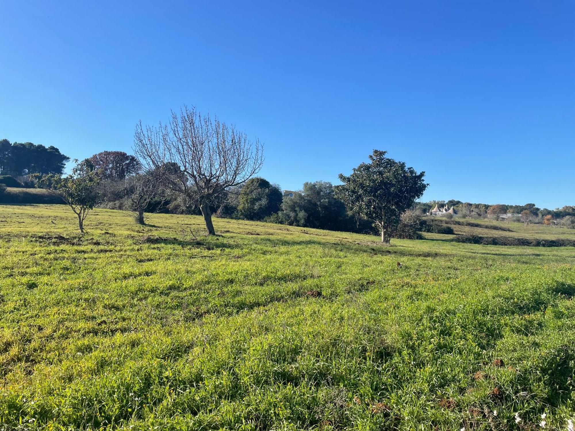 Trulli Del Sole Villa Martina Franca Eksteriør bilde