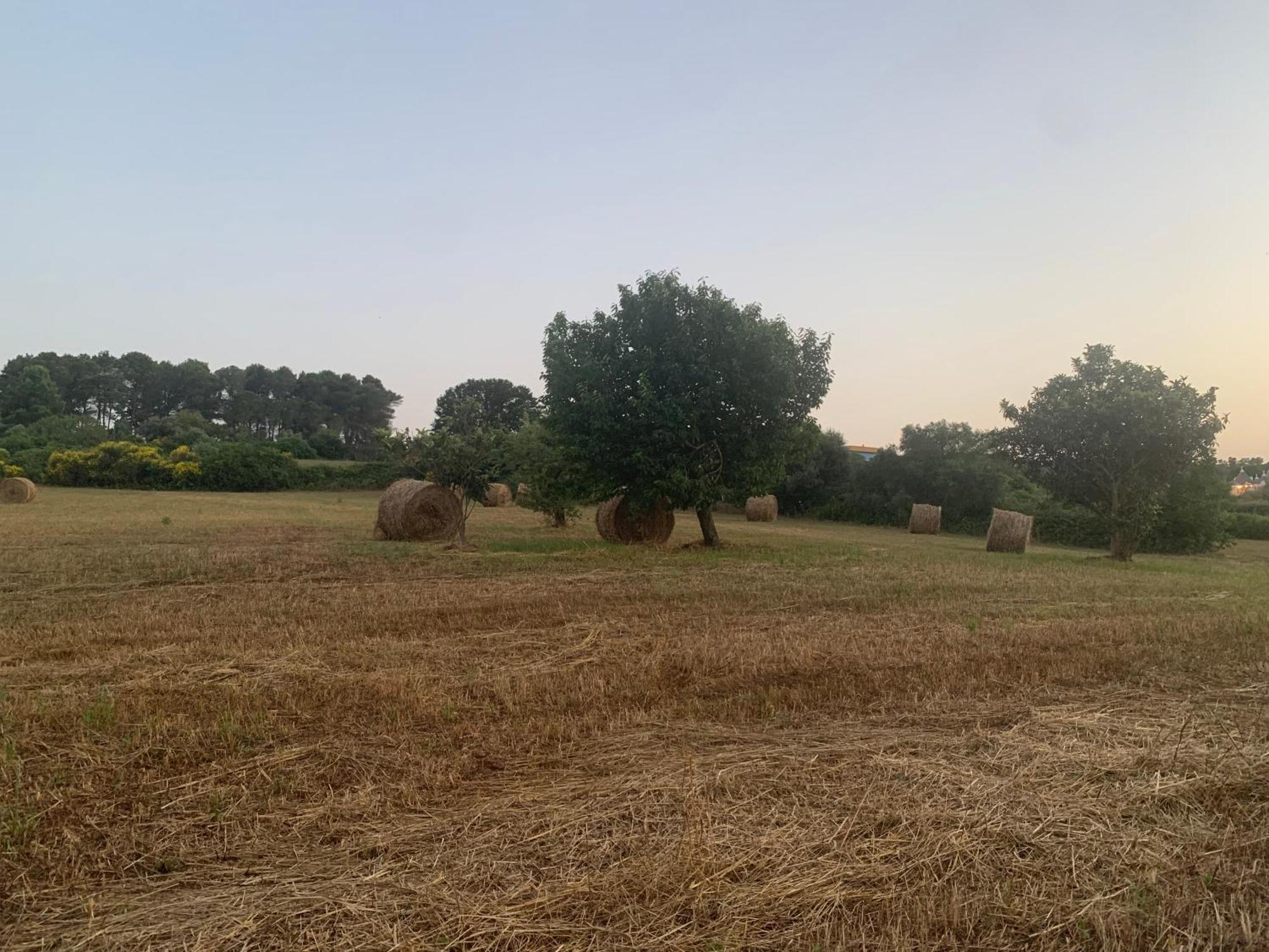 Trulli Del Sole Villa Martina Franca Eksteriør bilde