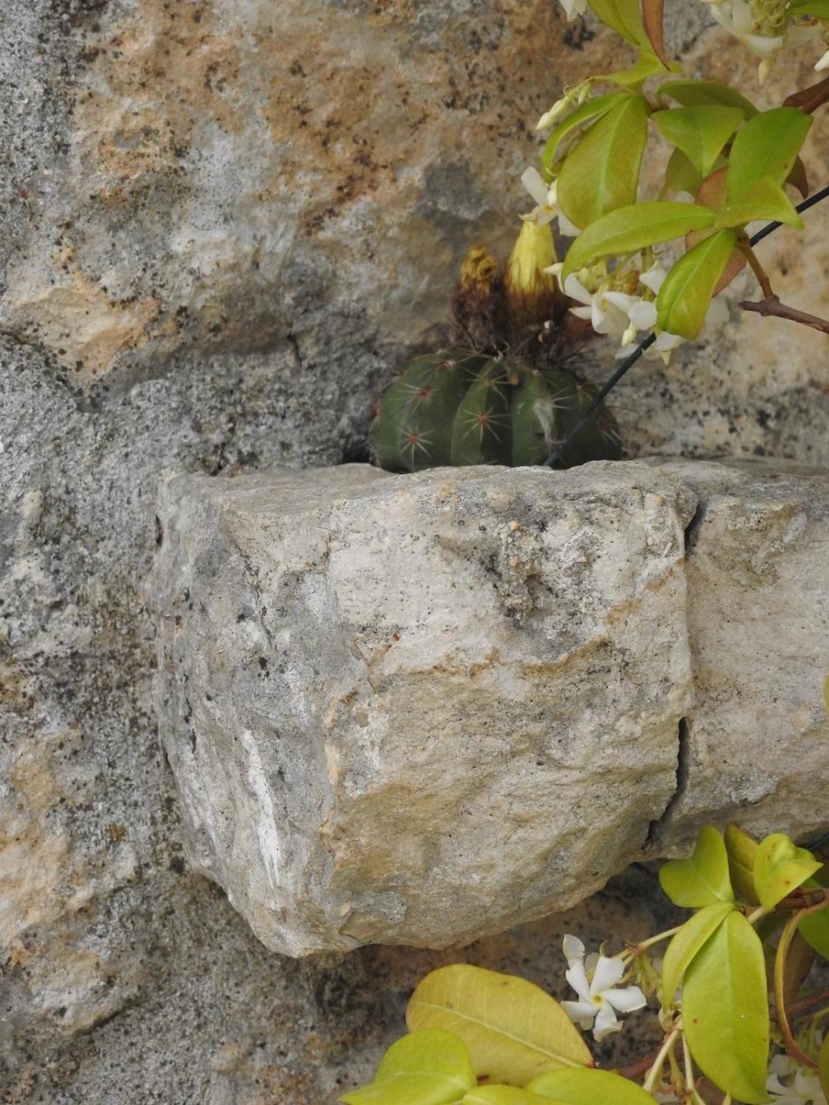Trulli Del Sole Villa Martina Franca Eksteriør bilde